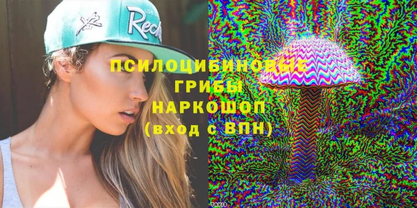 твердый Коряжма