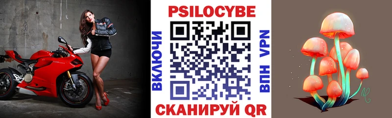Галлюциногенные грибы Psilocybe  Купить закладки  Урень 